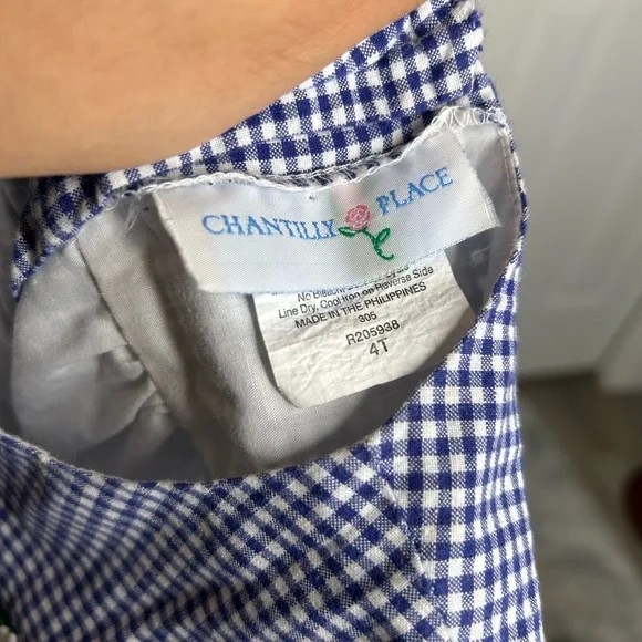 Chantilly place girls ladybug dress - Picture 5 of 5